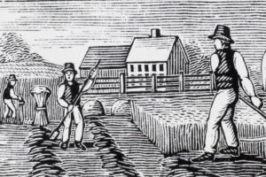 Auge y caída del almanaque de agricultores