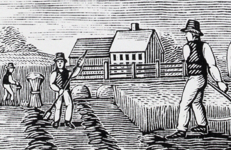 Auge y caída del almanaque de agricultores