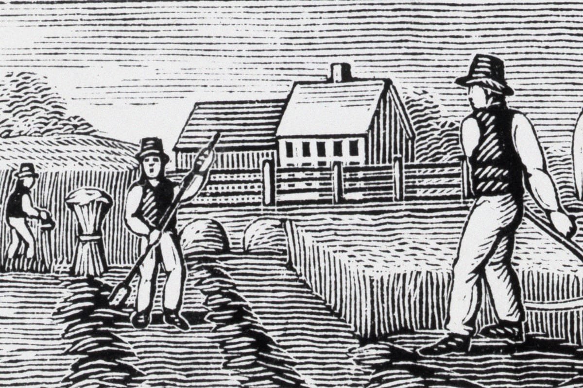Auge y caída del almanaque de agricultores