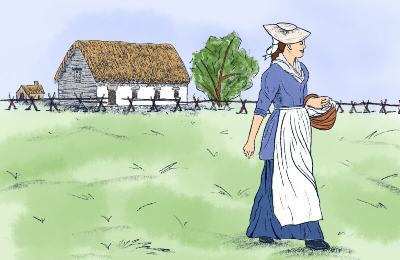 ¿Cuál ha sido la población americana a lo largo de la historia?