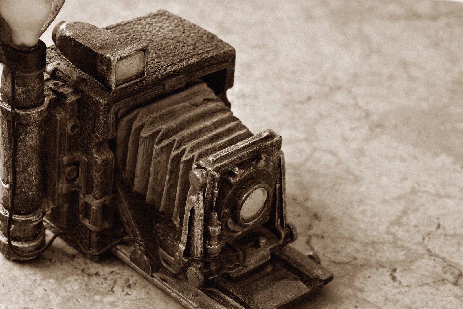 ¿Por qué las fotos antiguas tienen tonos sepia?