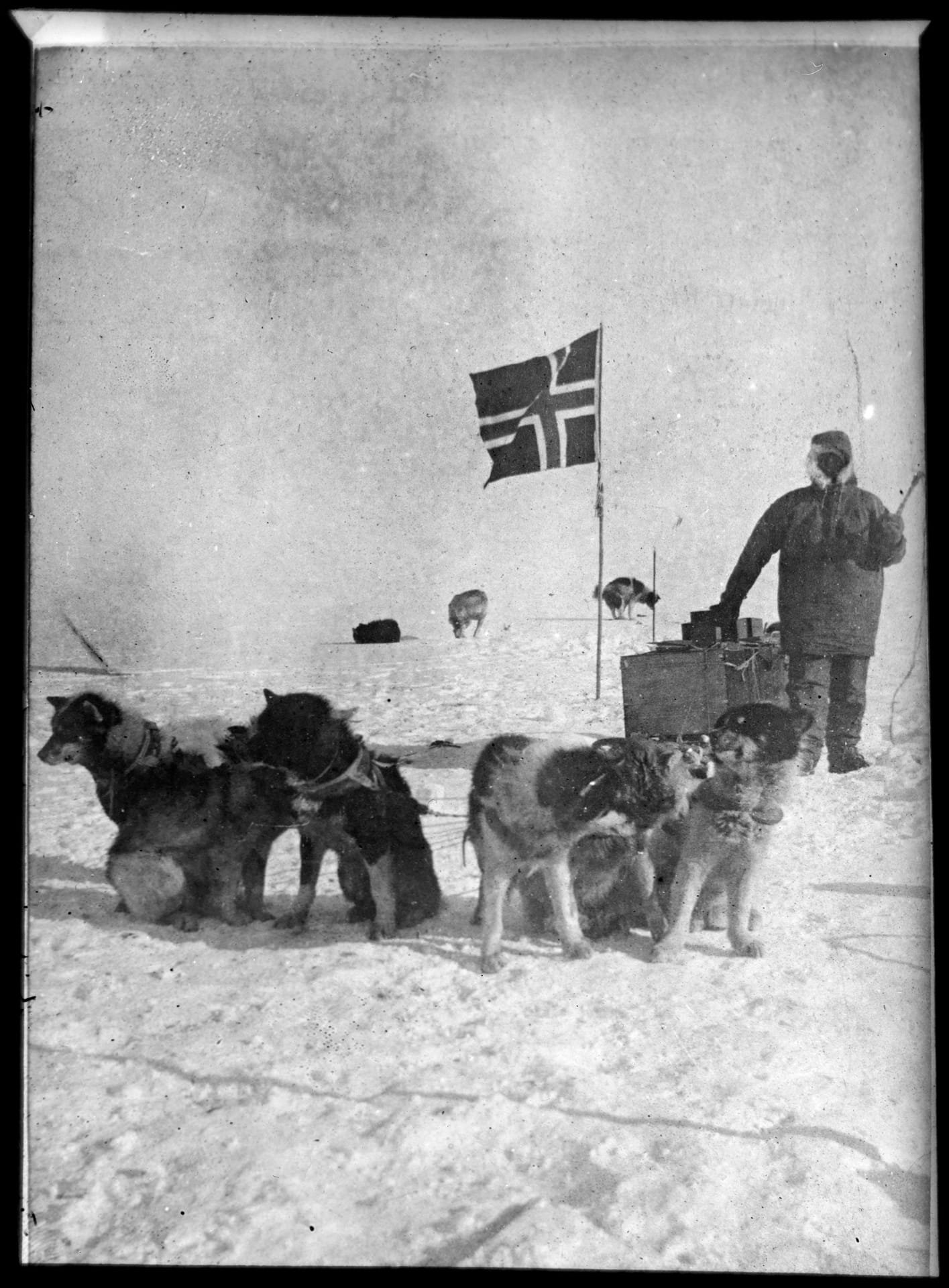 Olav Bjaaland, identificado por el archivo, junto a un trineo, perros y una bandera noruega sobre la nieve.