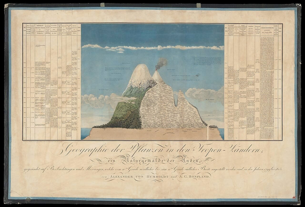 Lámina de 1807: corte de montaña con nombres de plantas, tablas y créditos.
