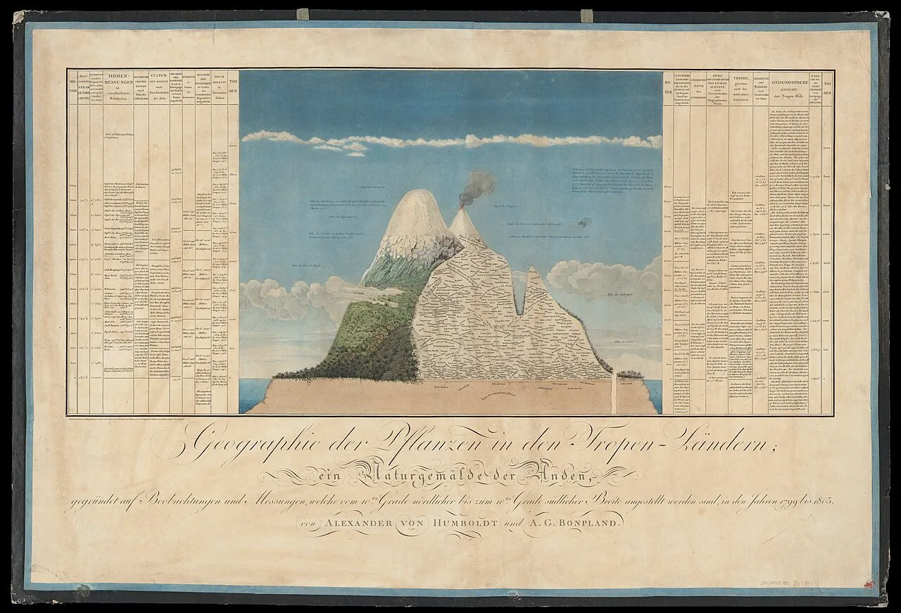 Lámina de 1807: corte de montaña con nombres de plantas, tablas y créditos.