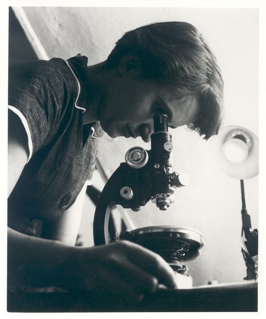 Retrato de la química y cristalógrafa Rosalind Franklin